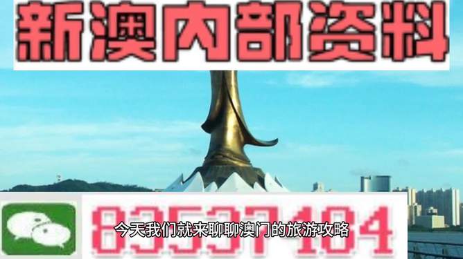 澳門免費資料大全精準(zhǔn)版853，探索澳門的文化與歷史，澳門文化與歷史探索，精準(zhǔn)資料大全853
