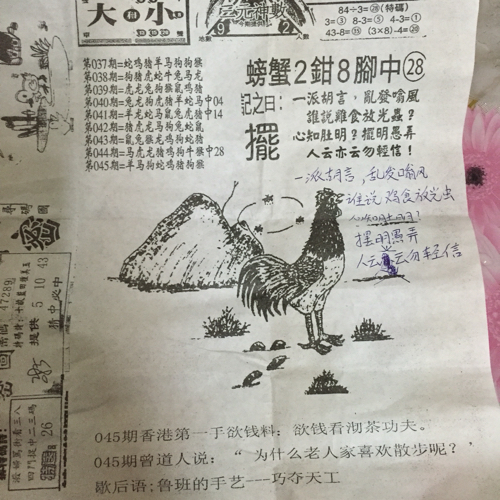 揭秘林中的高手王中王猜一肖的奧秘，揭秘林中之王王中王與生肖奧秘探秘