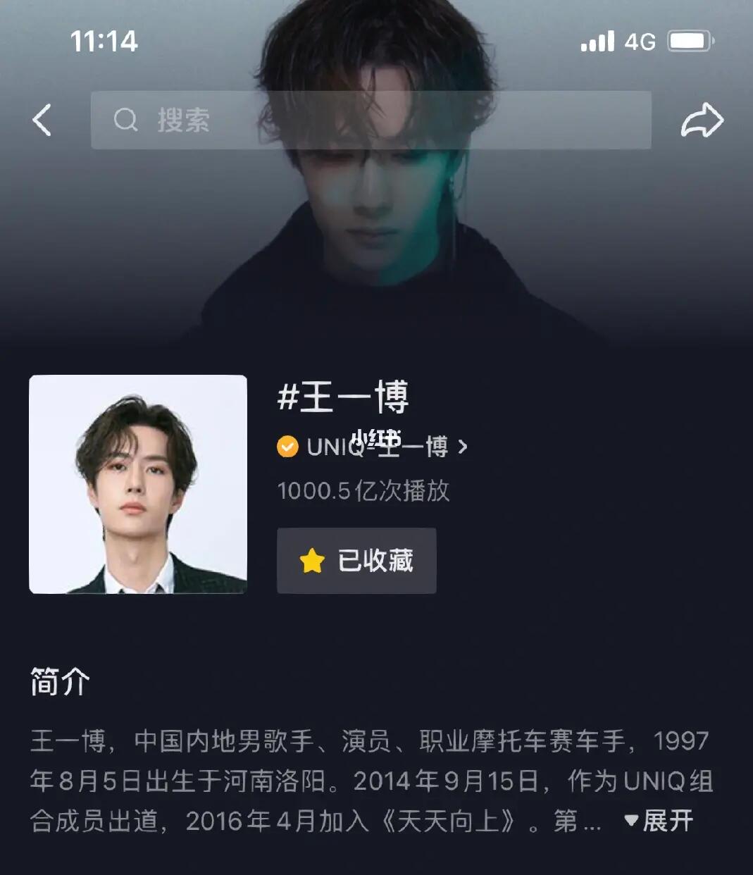 王中王一肖內(nèi)部資料詳解，王中王一肖內(nèi)部資料深度解析
