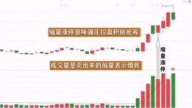 王中王一肖平碼，揭秘背后的故事與SEO策略，王中王一肖平碼背后的故事與SEO策略揭秘