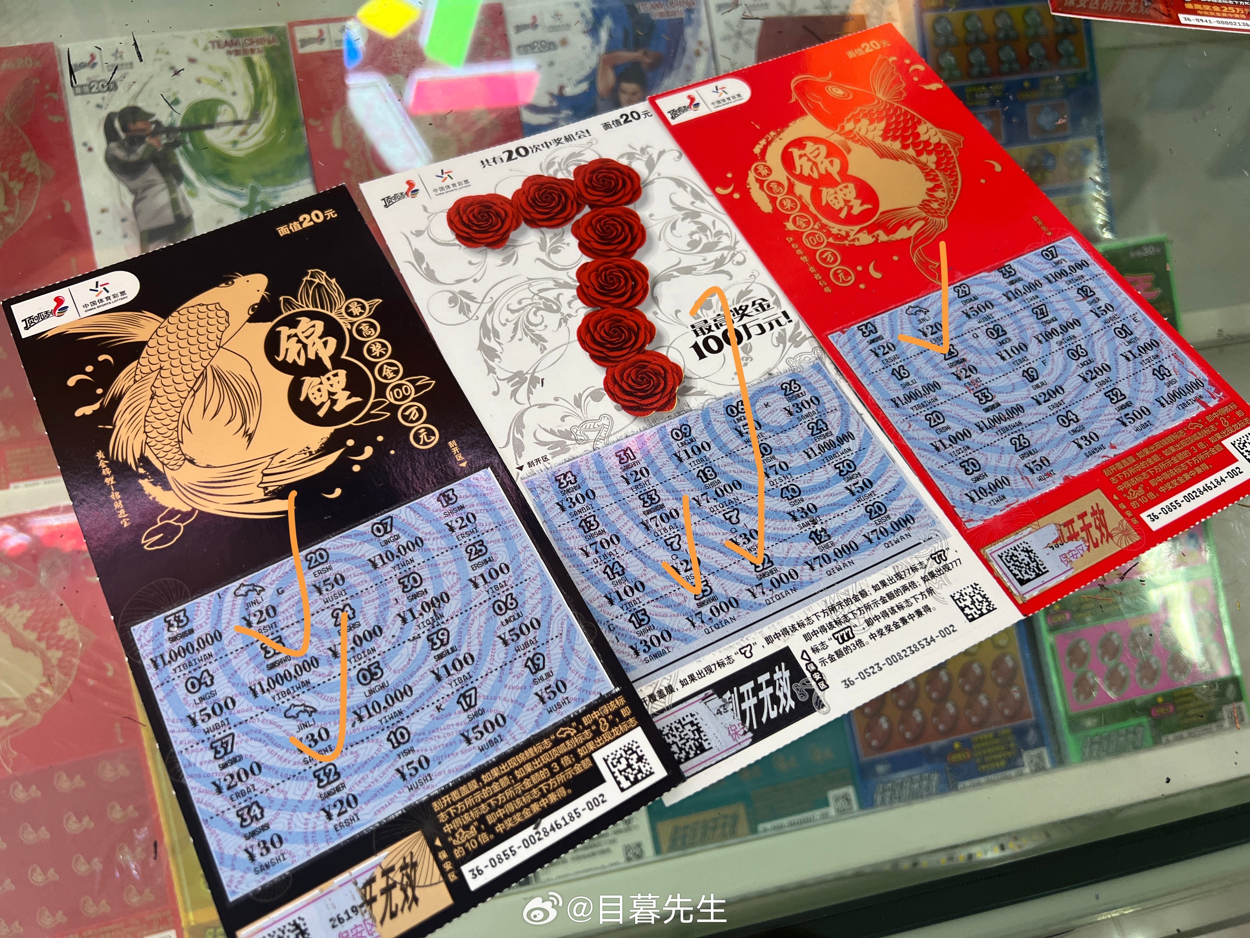 全年王中王一肖中特，深度解析與預(yù)測，全年王中王一肖深度解析與預(yù)測，揭秘特肖趨勢