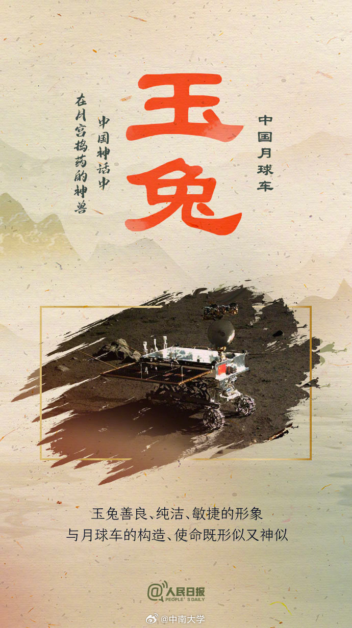揭秘王中王平特一肖免會公開的奧秘，王中王平特一肖免公開揭秘奧秘