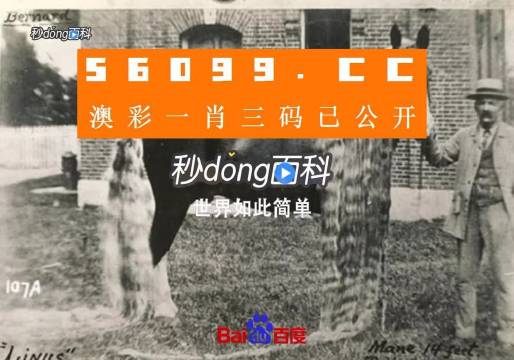 澳門(mén)王中王心水王中王，探索與解析，澳門(mén)王中王心水奧秘，深度探索與解析