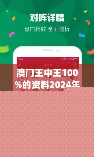王中王網(wǎng)站一肖，探索與SEO優(yōu)化策略，王中王網(wǎng)站一肖，深度探索與SEO優(yōu)化策略實(shí)踐