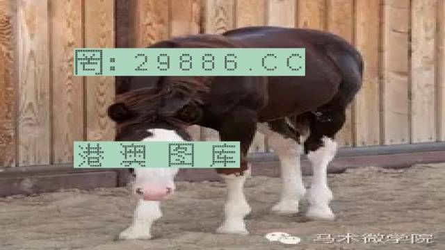 揭秘446999一肖中特馬之秘密，掌握中獎玄機！，揭秘特馬中獎玄機，446999一肖中的秘密大揭秘！