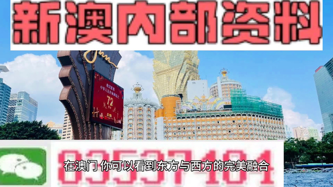 新澳天天開獎資料大全旅游團，探索澳門的魅力與樂趣，澳門探索之旅，新澳天天開獎資料大全旅游團體驗魅力與樂趣