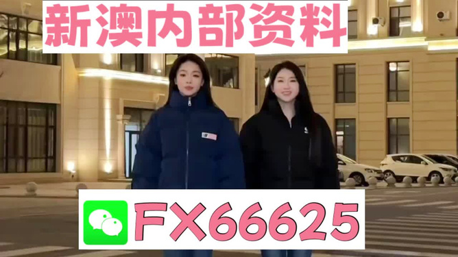 王中王一碼一肖開獎結(jié)果，深度解析與預(yù)測，王中王一碼一肖開獎結(jié)果深度解析及預(yù)測報告