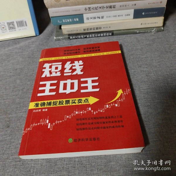 王中王平特一肖中的奧秘與探索，王中王平特一肖的奧秘與探索之旅