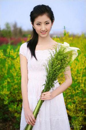 新澳門生肖走勢圖精準版，解讀與SEO策略，新澳門生肖走勢圖精準解讀與SEO策略揭秘