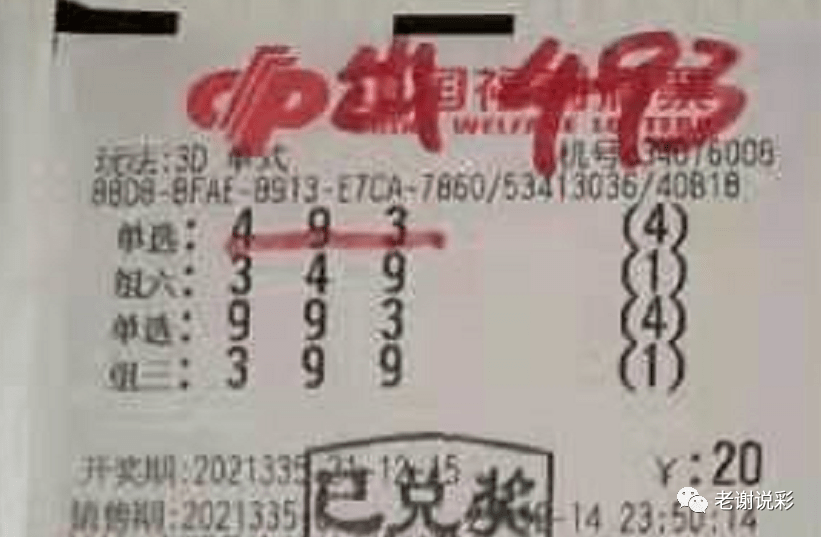新奧門彩天天開獎資料一網(wǎng)羅萬象，揭秘彩票奧秘，揭秘彩票奧秘，新奧門彩天天開獎資料一網(wǎng)羅萬象