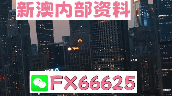 澳門跑狗，探索與解析，澳門跑狗，探索與解析之道