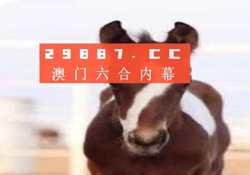 澳門今晚必開一肖一碼，探索生肖與彩票的奧秘，澳門生肖彩票奧秘探索，今晚必開一肖一碼