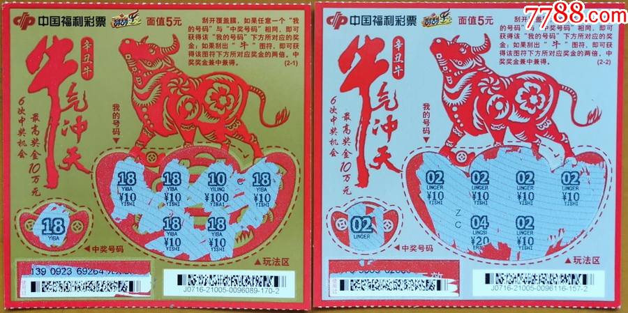 王中王19期指一生肖——探尋背后的奧秘與意義，王中王19期指一生肖，背后的奧秘與意義探尋