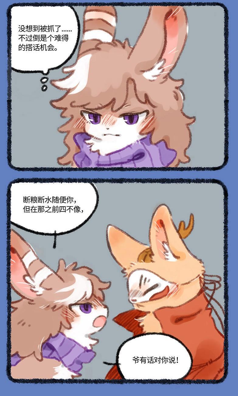 今天正版四不像，深度解析一種獨特的文化現(xiàn)象，深度解析，正版四不像——獨特的文化現(xiàn)象探究