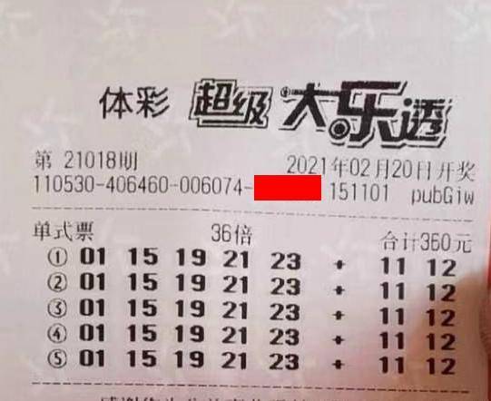 王中王018期指一生肖，揭秘背后的奧秘與意義，揭秘生肖奧秘，王中王生肖背后的意義與秘密