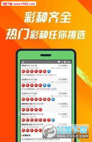 揭秘660678C0m王中王三肖一碼，真相與奧秘，揭秘，王中王三肖一碼真相與奧秘探索