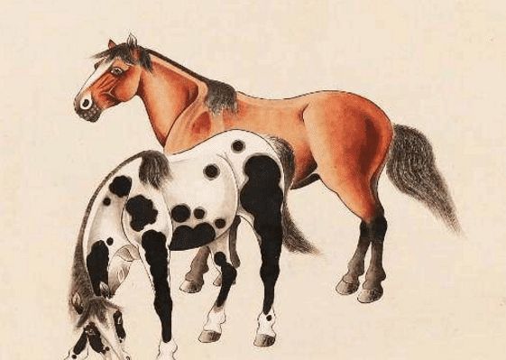 馬一王中王特平一肖圖，深度解析與SEO優(yōu)化策略，深度解析馬一王中王特平肖圖，SEO優(yōu)化策略探討