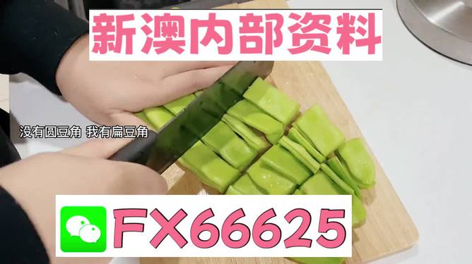新澳精選資料免費(fèi)提供，探索優(yōu)質(zhì)資源的海洋，新澳精選資料免費(fèi)探索，優(yōu)質(zhì)資源海洋的開啟