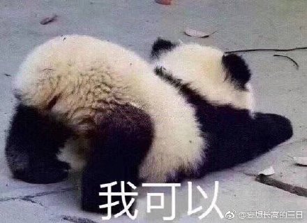 澳門四不像正版四不像網(wǎng)，探索真實(shí)與虛幻的交融之地，澳門四不像正版探索，真實(shí)與虛幻的交融世界