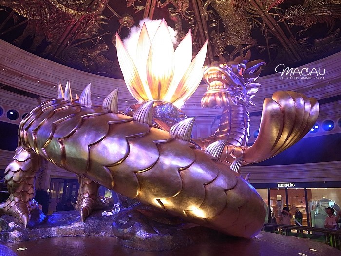 澳門無(wú)錯(cuò)七尾，探索與解析，澳門無(wú)錯(cuò)七尾，深度探索與解析