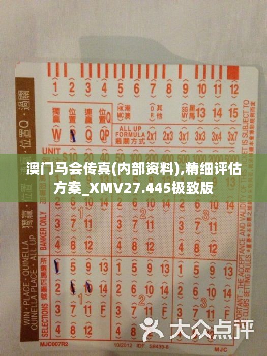 馬會傳真正版，探索正版馬會文化的魅力與價值，正版馬會文化的魅力與價值探索