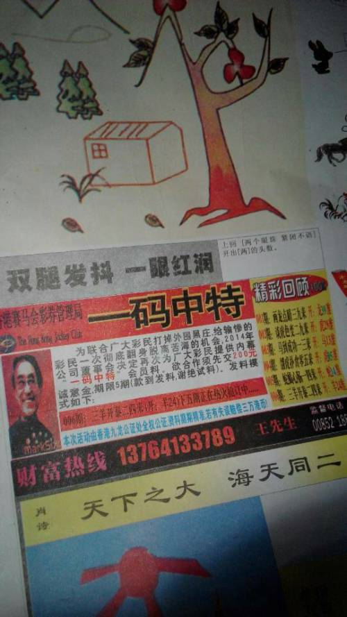 王中王贏錢詩猜一肖，揭秘背后的奧秘與策略，揭秘王中王贏錢詩背后的生肖奧秘與策略揭秘