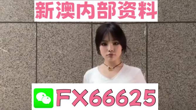 澳門正版資料大全完整版，探索與揭秘2025年澳門正版資料的世界，澳門正版資料大全揭秘，探索未來至2025年的奧秘世界