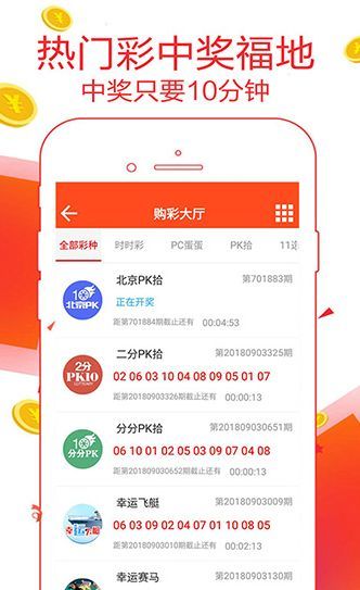 王中王一肖碼數(shù)口，深度解析與SEO優(yōu)化策略，王中王一肖碼數(shù)口深度解析與SEO優(yōu)化策略探討