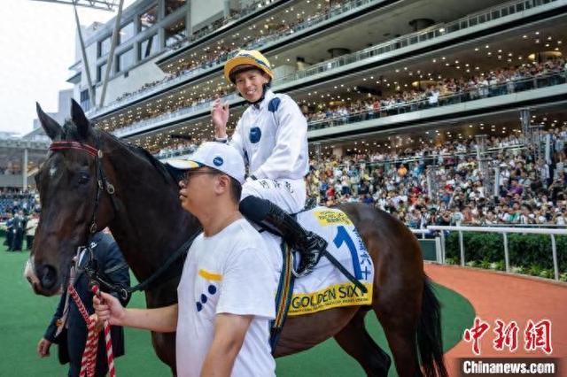 香港特馬王資料免費(fèi)公開(kāi)，揭秘背后的秘密，香港特馬王資料揭秘，免費(fèi)公開(kāi)背后的秘密