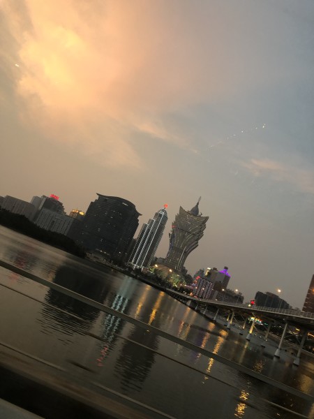 澳門今晚必開一肖一特，深度解析與預(yù)測，澳門今晚生肖特碼深度解析與預(yù)測，一肖一特必開趨勢探討