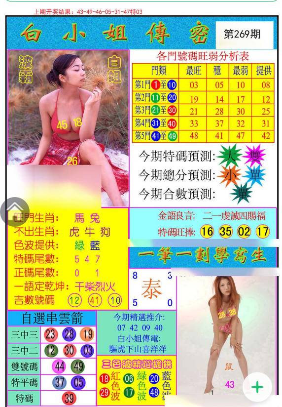 揭秘白小姐與王中王平持一肖的神秘面紗，白小姐與王中王，揭秘神秘生肖預測面紗