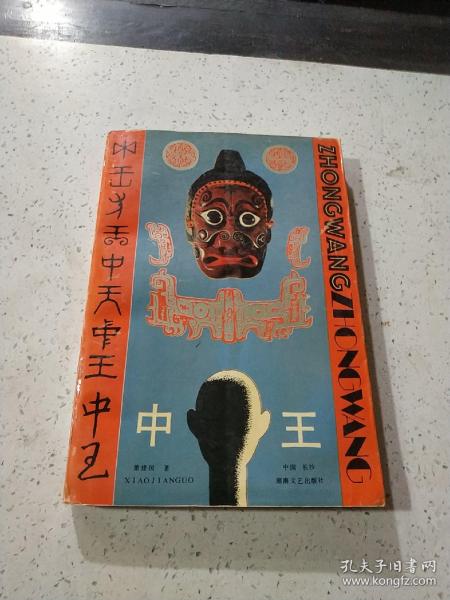 王中王資料與肖中特，深度解析，王中王資料與肖中特深度剖析