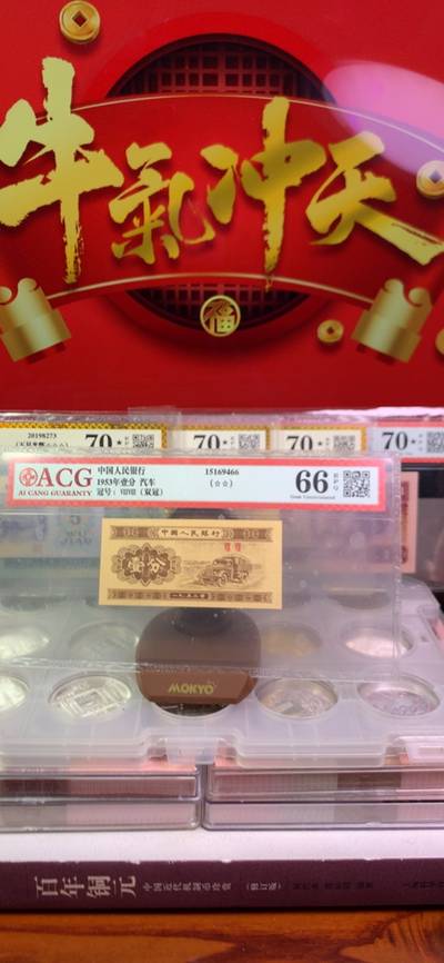 王中王廣東一肖，探尋背后的故事與奧秘，王中王廣東一肖，背后的故事與奧秘探尋