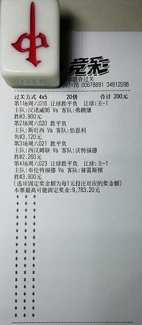 揭秘買(mǎi)一肖中獎(jiǎng)的賠率與風(fēng)險(xiǎn)，你真的準(zhǔn)備好了嗎？，揭秘買(mǎi)一肖中獎(jiǎng)背后的賠率與風(fēng)險(xiǎn)，你真的做好準(zhǔn)備了嗎？