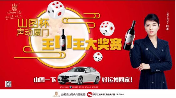 揭秘王中王背后的故事，從肖中的視角看其在SEO領(lǐng)域的輝煌成就，肖中視角下的王中王，SEO領(lǐng)域的輝煌成就揭秘