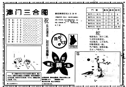 王中王資料一肖中特官婆，深度解析與SEO優(yōu)化策略，王中王資料一肖中特官婆深度解析與SEO優(yōu)化策略探討