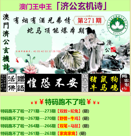 王中王資料一肖特圖，深度解析與探索，王中王資料特圖深度解析與探索