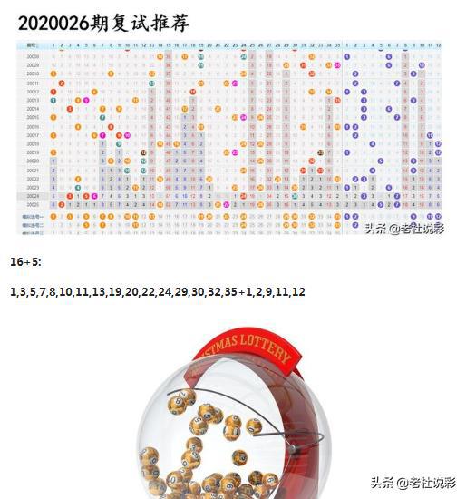 王中王026期指一生肖，深度解讀與SEO優(yōu)化策略，王中王026期生肖深度解讀與SEO優(yōu)化策略全解析
