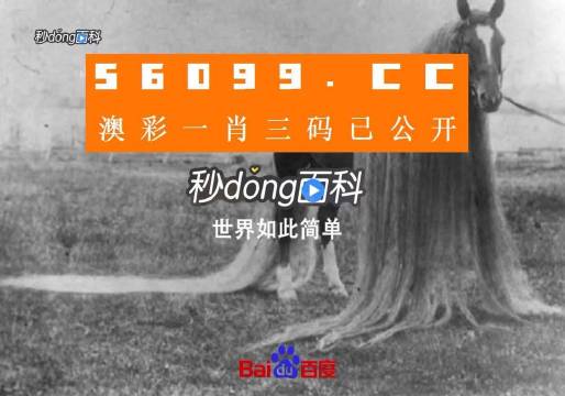 澳門一肖一碼一必中一肖舟山，揭秘彩票秘密，掌握幸運(yùn)之鑰，揭秘彩票秘密，澳門一肖一碼必中秘籍與幸運(yùn)之鑰在舟山開啟