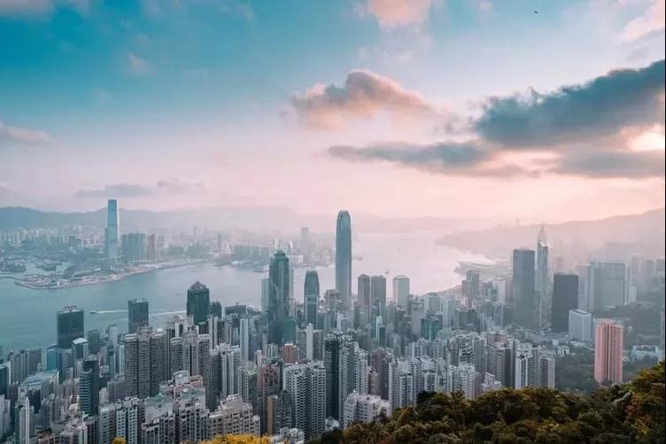 香港最快最精準的資料，深度解析與探索，香港最新精準資料深度解析與探索