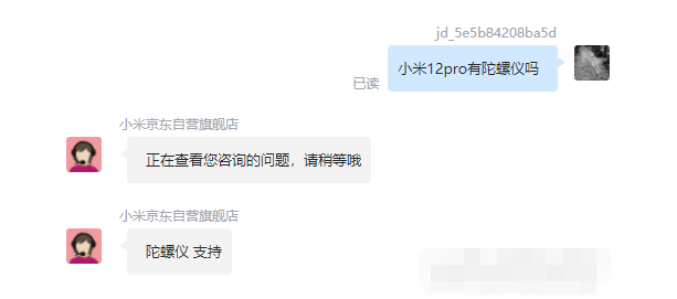 王中王一肖碼，探索關(guān)鍵詞背后的奧秘，王中王一肖碼，揭秘關(guān)鍵詞背后的奧秘