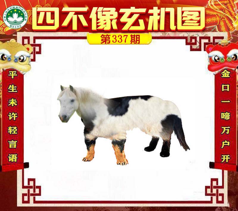 王中王四不像論壇必中一肖WW——深度解析與探索，王中王四不像論壇必中一肖WW，全面解析與探索揭秘