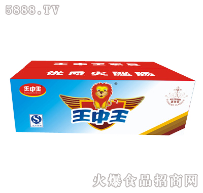 王中王一肖特圖，揭秘背后的故事與魅力，揭秘王中王一肖特圖的背后故事與魅力