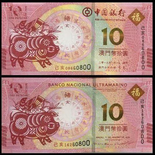 澳門天天彩期期精準(zhǔn)十二生肖預(yù)測(cè)——揭秘彩票背后的秘密，澳門天天彩期期精準(zhǔn)十二生肖預(yù)測(cè)，彩票背后的秘密大揭秘