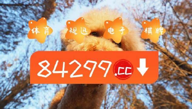今期必中一肖一碼白小姐，揭秘彩票背后的秘密與策略，揭秘彩票背后的秘密與策略，白小姐今期必中一肖一碼解析