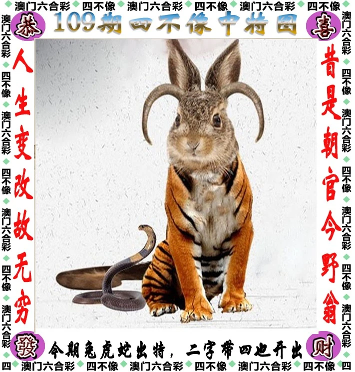 四不像王中王資料一肖，深度解析與探索，四不像王中王資料一肖，深度解析與探索揭秘