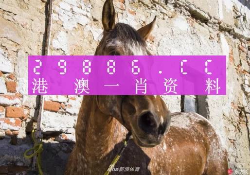 王中王資料一門肖中，深度解析與探索，王中王資料一門肖詳解，深度解析與探索