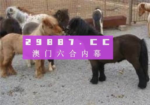王中王平特一肖四不像圖，深度解析與SEO優(yōu)化策略，王中王平特一肖四不像圖，深度解析與SEO優(yōu)化策略探討