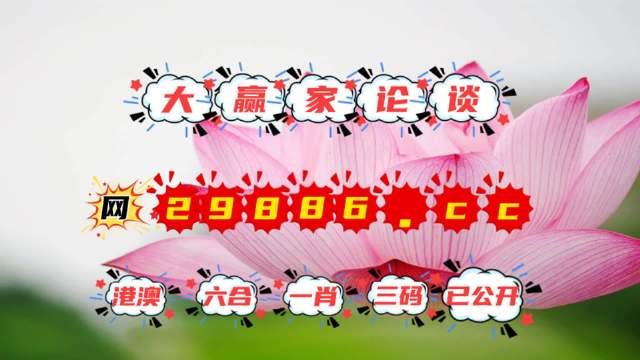 王中王資料提供一肖中特，深度解析與SEO優(yōu)化策略，王中王資料揭秘，一肖中特深度解析與SEO優(yōu)化策略全攻略