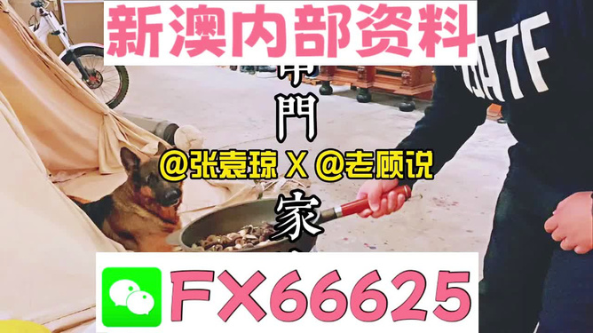 新澳門精準資料大全，管家婆料解析與探索，澳門精準資料大全，管家婆料解析與深度探索